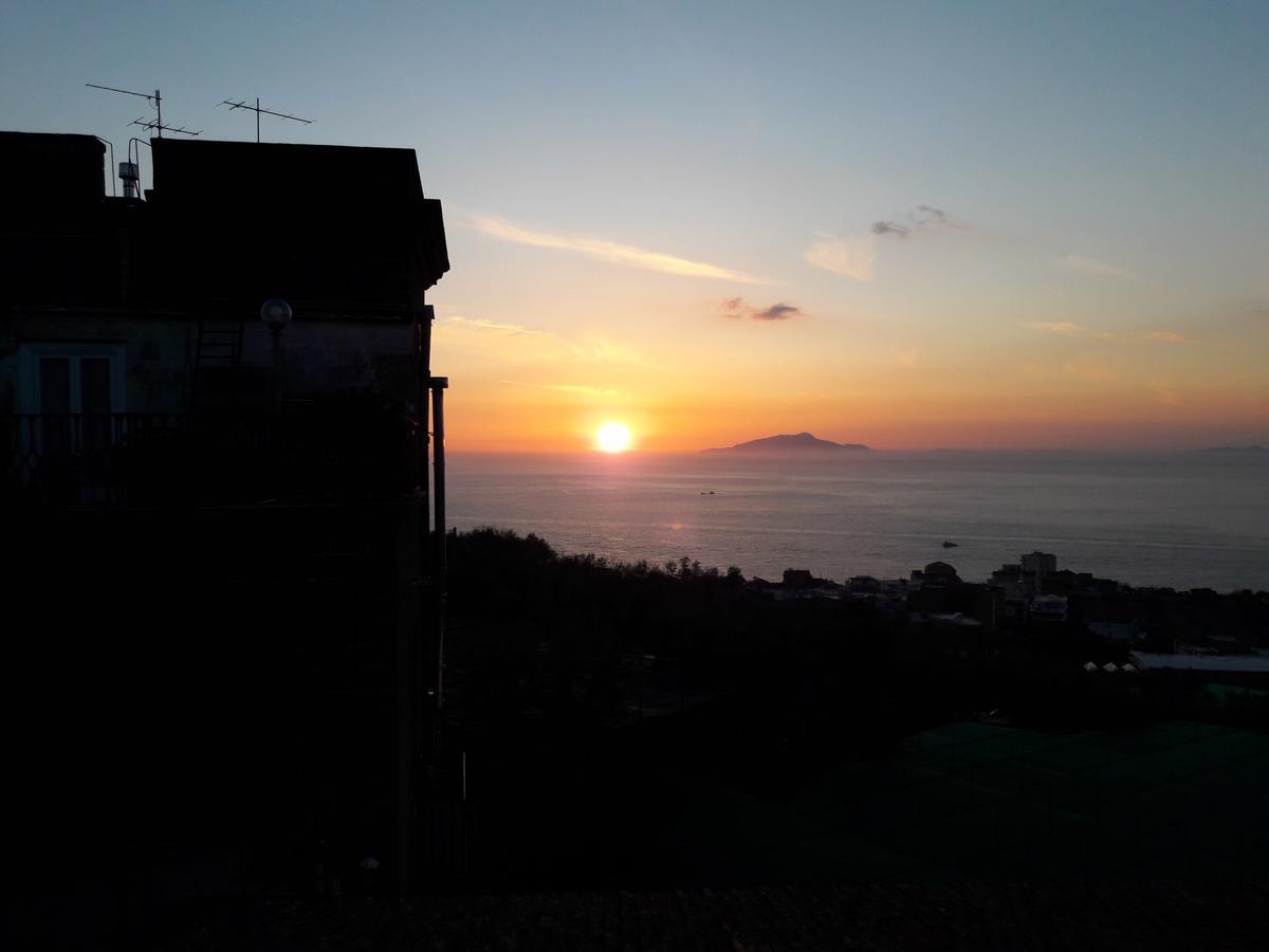 La Lobra Dependance Villa Massa Lubrense Dış mekan fotoğraf