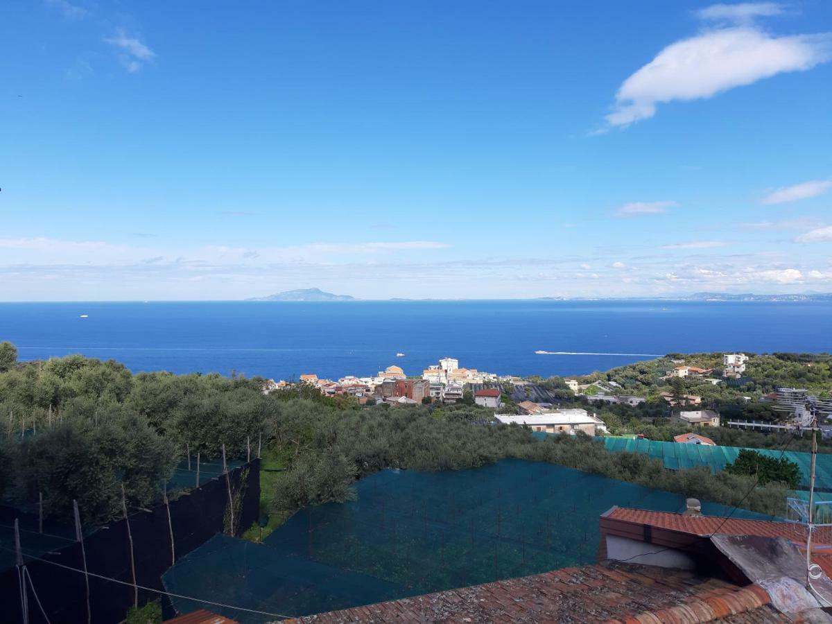 La Lobra Dependance Villa Massa Lubrense Dış mekan fotoğraf
